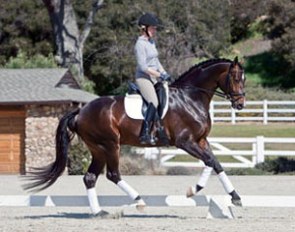 Sabine Schut-Kery and Sanceo training at home in April 2011