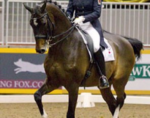Ashley Holzer and Breaking Dawn at the 2011 CDI Toronto :: Photo © Cealy Tetley