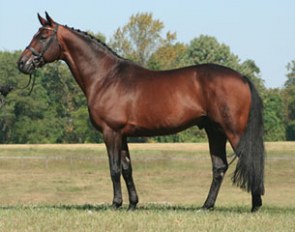 Royal Prince :: Photo courtesy Hilltop Farm