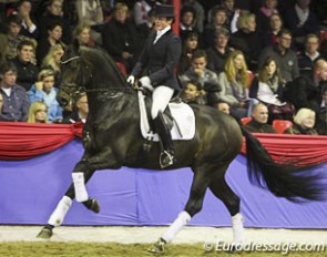 Laura Hassler and Diamo Gold at the Stallion Parade held during the 2011 Oldenburg stallion licensing :: Photo © Astrid Appels