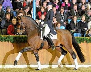 Serano Gold (by Sandro Hit x Grundstein II)