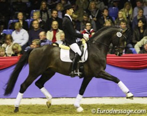 Jan Steiner on the Hanoverian Sean Connery (by Sir Donnerhall x Rotspon x Weltmeyer). This bay showed much self carriage and was well engaged from behind. Nice!