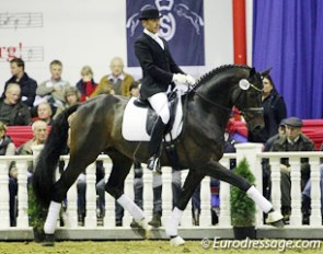 Johannes Westendarp on the Danish owned Hanoverian Belstaff (by Brentano II x De Niro x Weltmeyer). The bay stallion was slow behind in trot but showed a fantastic uphill canter.