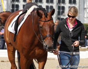 Don Johnson being hand walked by his groom