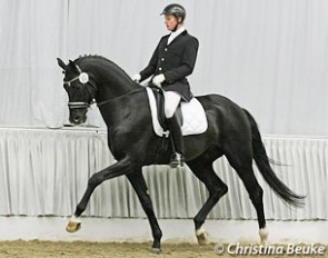 Matthias Rath and Bretton Woods at the 2011 Hanoverian Stallion Approval :: Photo © Christina Beuke