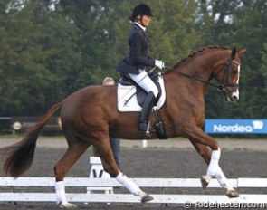 Prima Donna under saddle