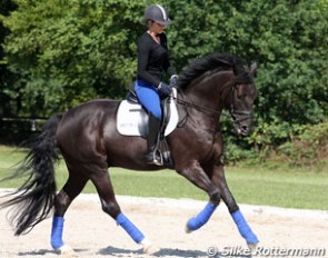 Vivien Niemann on the 6-year old Baden Wurttemberger bred Ferdinand