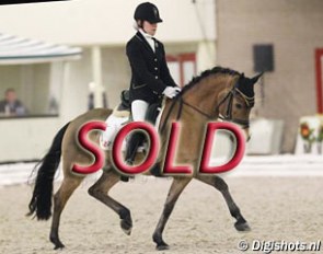 Goofy at the 2011 Dutch Indoor Pony Championships :: Photo © Digishots.nl