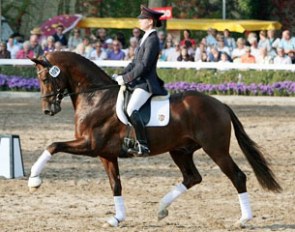 Vitalis at the Warendorf Stallion Parade