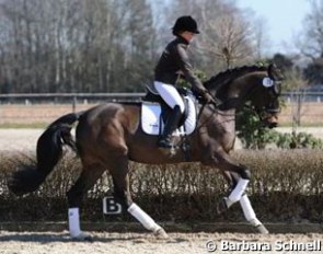 Jessica Suss schooling the CSW Auction Horse Katherine outside :: Photo © Barbara Schnell