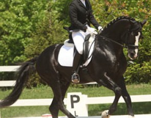 Emily Wagner and Wakeup at the 2011 Dressage at Lamplight young horse selection trial :: Photo © Phelpsphotos.com