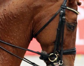 Scandic showing his tongue in the Kur to Music at the 2011 World Cup Finals