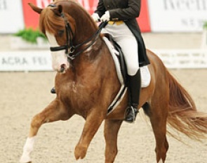 Catherine Haddad-Staller and Winyamaro at the 2011 World Cup Finals :: Photo © Astrid Appels