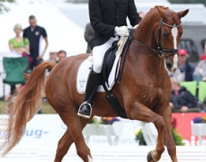 Matthias Bouten on Lezard at the 2011 World Young Horse Championships in Verden :: Photo © Astrid Appels