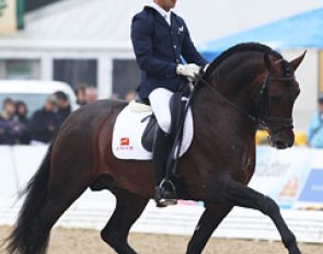 Angel Dorado Martinez on the wonderful PRE stallion Manchego. Huge mover with tremendous scope and ground cover in his gaits but he could be more elastic. Could easily have scored higher!