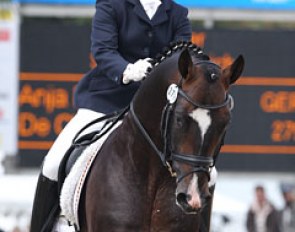 Anja Engelbart on De Champ (by Daddy Cool). Drop dead gorgeous stallion but not enough power in the engine behind