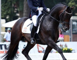 Tom Franckx and Bon Bravour in Verden :: Photo © Astrid Appels