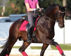 Tom Franckx-Goen schooling Bon Bravour :: Photo © Astrid Appels