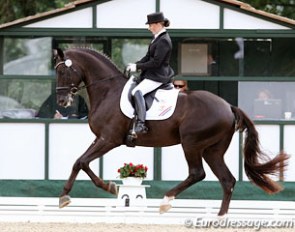 German Jana Freund on Louis Livens' Aaron (by Florencio x Record). The horse was often tilted in the trot. The extended walk was excellent