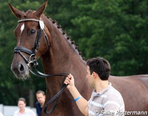 Sebastian Heinze jogged Damon's Divene to make her pass the vet check