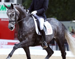 Andreas Helgstrand on the talented Torveslettens Stamina (by Stedinger x Carano). Brilliant trot work could not save her day as the walk was not ground covering enough and there were problems in the flying changes. Her score 7.94 was a bit low