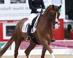 Helen Langehanenberg on Sissy Max-Theurer's Westfalian mare Schickeria (by Sir Donnerhall I x Weltmeyer). The trot and walk part were delightful but there was resistance in walk and tension in canter.