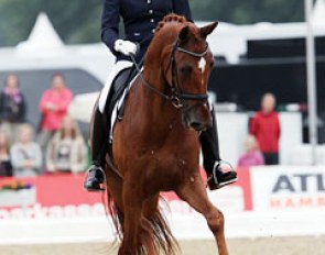 Gerdine Maree on Athene (by United x Jazz). Much roundness and scope in this horse's gaits, but he was constantly behind the vertical