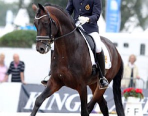 Belgian Simon Missiaen on Carlo van Hove's chunky Oldenburg stallion Rousseau's Topas (by Rousseau x Rohdiamant)