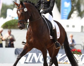 Belgian Larissa Pauluis on Don Massimo (by Don Larino x Santander H)