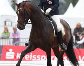 Ulrike Prunthaller and Duccio at the 2011 World Young Horse Championships in Verden :: Photo © Astrid Appels