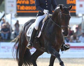 Swedish Anne Svanberg on the Swedish warmblood Tabasco at the 2011 World Young Horse Championships in Verden :: Photo © Astrid Appels