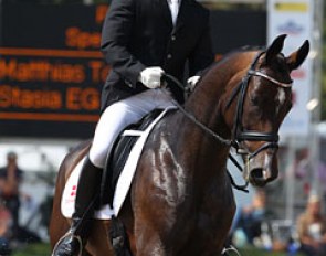 Matthias Tourbier on the very refined Stasia (by Stedinger x Akinos). Her great grand dam produced many Grand Prix horses
