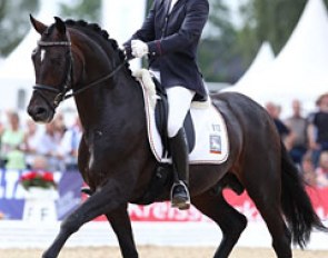 Anja Wilimzig on the Warendorf State Stud stallion Sunday NRW (by Sandro Hit x Donnerhall)