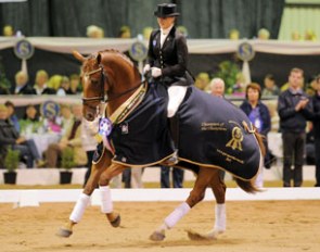 Daniella Dierks on Revelwood Donatello at the 2011 Dressage with the Stars CDI-W :: Photo © Derek 'O Leary
