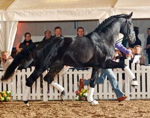 Special Agent Amour (by San Amour x Polidiktus van de Helle x Feo)