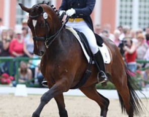 Antonio Diaz Porras on Duke :: Photo © Astrid Appels