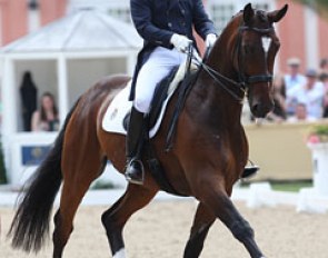 Antonio Diaz Porras on Duke at the 2011 CDI Wiesbaden :: Photo © Astrid Appels