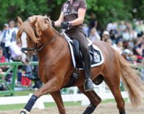 Sophie Kampmann schooling Voyager