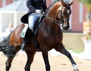 Anna Lena Kracht and Kasimir TSF at the 2011 CDI Wiesbaden :: Photo © Astrid Appels