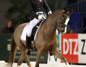Danish Maja Andreasen on the experienced pony Armando.