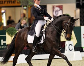 Belgian Saidja Brison on the 10-year old Moliere (by De Niro x Amiral)