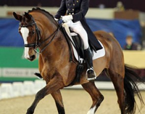 Nikki Crisp on Pasoa at the 2011 CDI Zwolle :: Photo © Astrid Appels