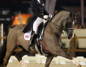 Valegro (by Negro x Gershwin) :: Photo © Astrid Appels