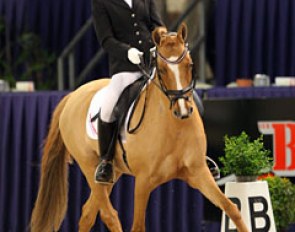 Sanne Gilbers and her much improved, more happy looking pony mare Daylight (by Don't Worry)