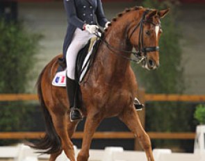 French Pauline Guillem moved from ponies to the junior division and is now riding Whisper Gold (by Gribaldi x Wanderbusch II), formerly ridden by Stefan van Ingelgem