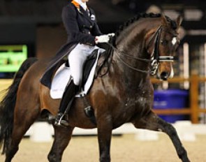 Angela Krooswijk and Roman Nature at the 2011 CDI Zwolle :: Photo © Astrid Appels