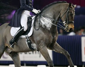 Lynn Maiburg on her long legged 14-year old Belgian warmblood Tumbling Rocky (by Fortuin Z x Feinschnitt)