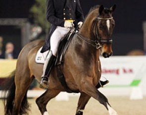 Swedish Per Sandgaard is finally back in the show ring! He brought the Danish bred Lomumba Havdal (by Lobster) to Zwolle and finished sixth