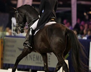 Imke Schellekens-Bartels couldn't keep the lid on the cooker of her sensitive giant Toots (by Jazz). The horse spooked several times at the start of the test and got tense. Better next time!