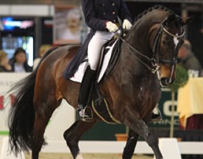 Romy van der Schaft and Madorijke at the 2011 CDI Zwolle :: Photo © Astrid Appels